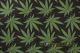 Marijuana Cannabis Leaf Cotton Fabric Fabric