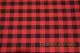 Poly Gingham Picnic Checkers Napkin 19 x 19 Single